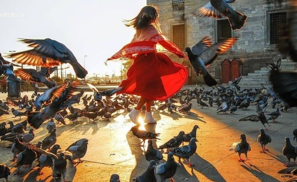 Turkey’s Vibrant Festivals: A Celebration of Music, Dance, and Culture